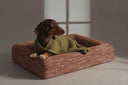 <p><em>Comfort </em>voor honden, perfect voor<em> jouw huis </em></p>