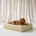 Orthopedische Hondenbed - Floral Jacquard