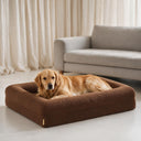 Orthopedische Hondenbed - Teddy Brown