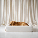 Orthopedische Hondenbed - Teddy Ivory