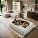 Orthopedische Hondenbed - Teddy Ivory
