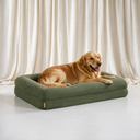 Orthopedische Hondenbed - Teddy Olive