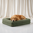 Orthopedische Hondenbed - Teddy Olive